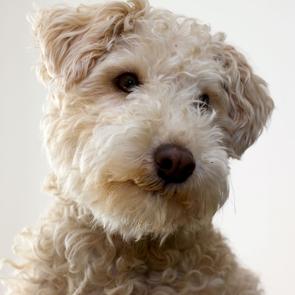 Ute Noll - Geschäftsführerin